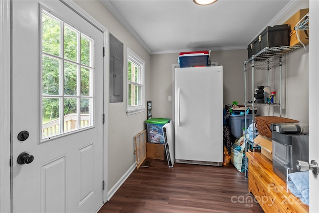 2146 Marwood Ln, Albemarle, NC 28001 - doorway with electric panel, dark wood-type flooring, crown molding, and baseboards