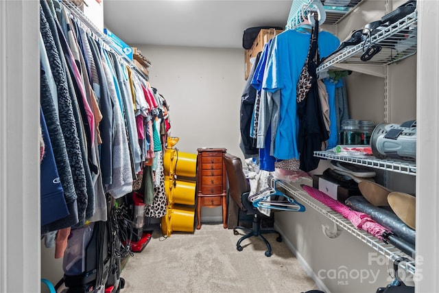 2146 Marwood Ln, Albemarle, NC 28001 - spacious closet with carpet floors