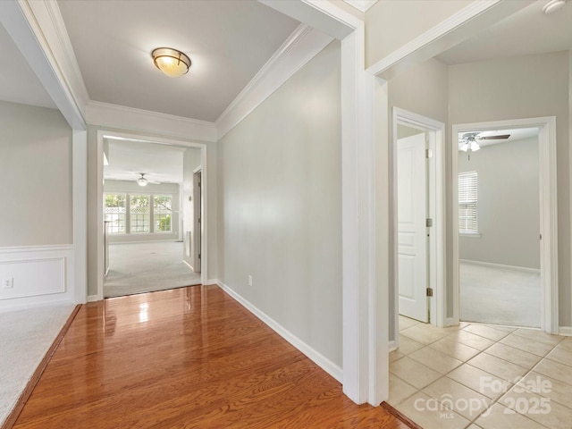 8603 Robinson Meadow Ct, Charlotte, NC 28277 - hall with ornamental molding and light carpet