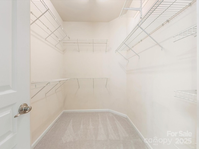 8603 Robinson Meadow Ct, Charlotte, NC 28277 - walk in closet featuring carpet flooring
