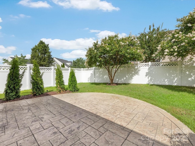 8603 Robinson Meadow Ct, Charlotte, NC 28277 - fenced backyard featuring a patio