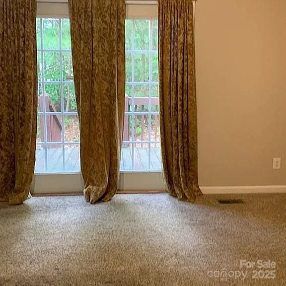 907 Gleason St, Arden, NC 28704 - unfurnished room featuring plenty of natural light and carpet floors