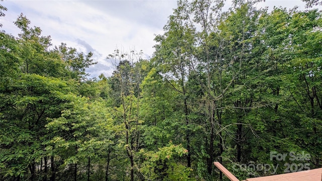 105 Toxaway Views Dr Unit 402, Lake Toxaway, NC 28747 - view of woods