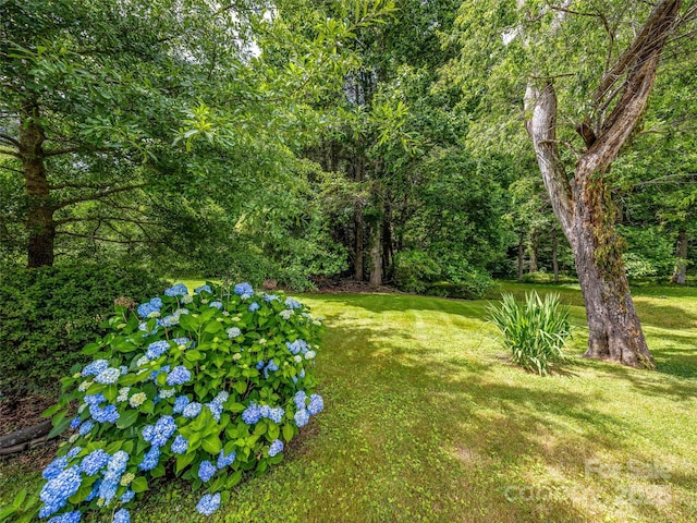 173 Cambridge Dr, Brevard, NC 28712 - photo 40