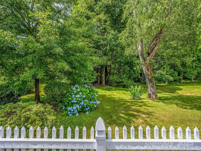 173 Cambridge Dr, Brevard, NC 28712 - photo 42