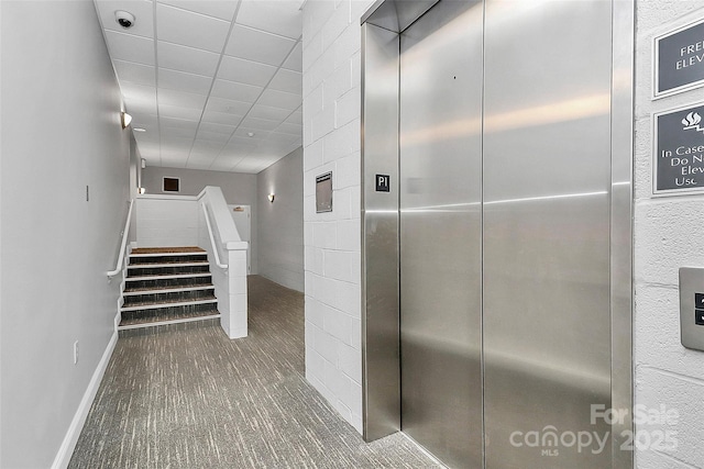 300 W 5th St Unit 003, Charlotte, NC 28202 - staircase featuring elevator and carpet floors