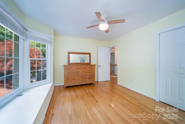 114 Coachmans Trl, Asheville, NC 28803 - bedroom with light wood finished floors and ceiling fan