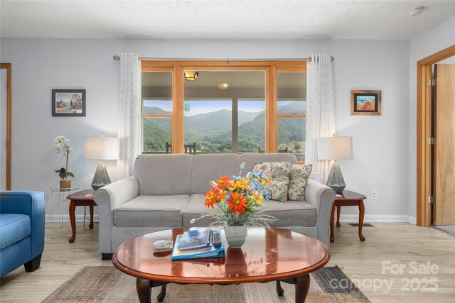 262 Lewis Ln, Maggie Valley, NC 28751 - photo 3