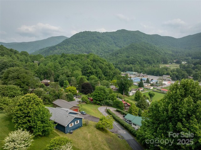 262 Lewis Ln, Maggie Valley, NC 28751 - photo 42