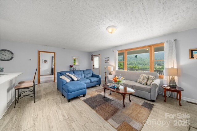 262 Lewis Ln, Maggie Valley, NC 28751 - photo 11