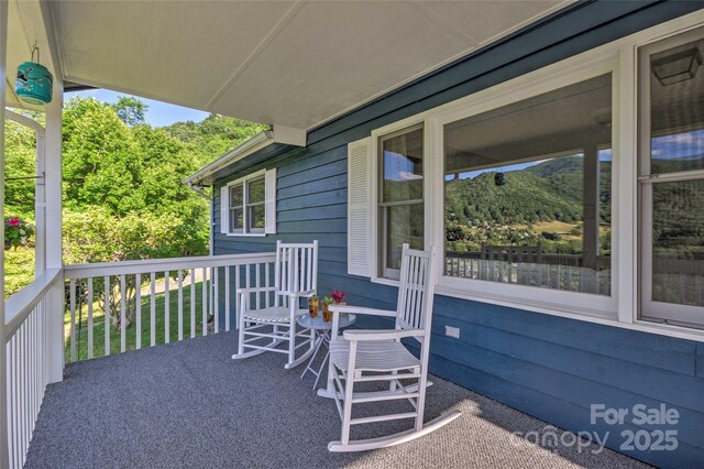 262 Lewis Ln, Maggie Valley, NC 28751 - photo 7