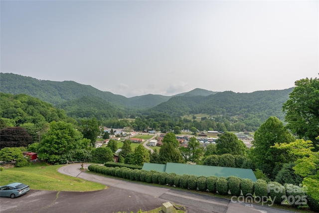 262 Lewis Ln, Maggie Valley, NC 28751 - photo 21