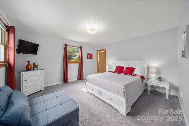 262 Lewis Ln, Maggie Valley, NC 28751 - photo 23