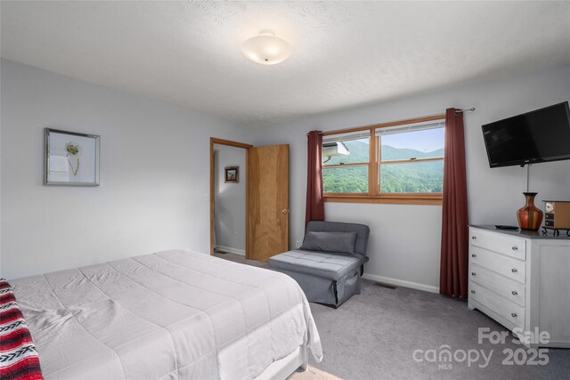 262 Lewis Ln, Maggie Valley, NC 28751 - photo 25