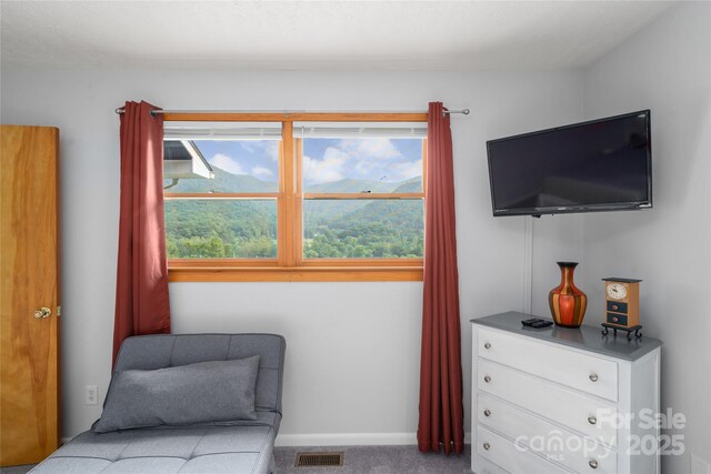 262 Lewis Ln, Maggie Valley, NC 28751 - photo 26