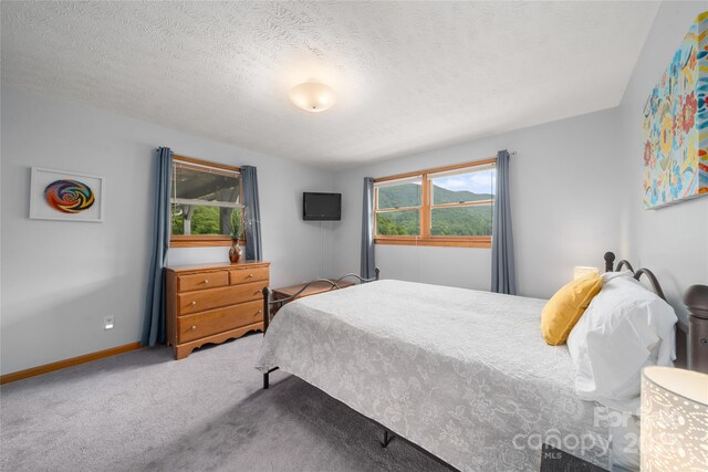 262 Lewis Ln, Maggie Valley, NC 28751 - photo 32