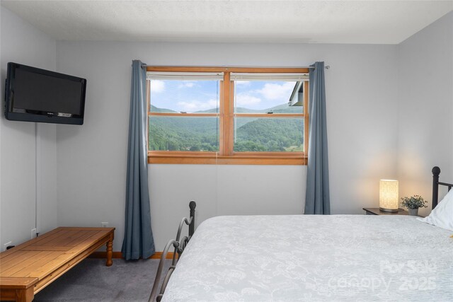 262 Lewis Ln, Maggie Valley, NC 28751 - photo 33