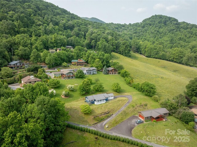 262 Lewis Ln, Maggie Valley, NC 28751 - photo 44