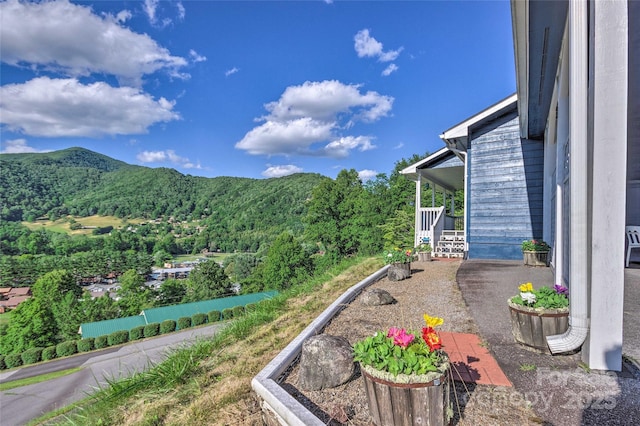 262 Lewis Ln, Maggie Valley, NC 28751 - photo 47