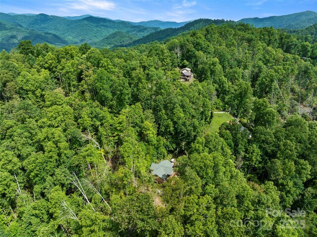 619 Leisure Ln, Burnsville, NC 28714 - photo 34