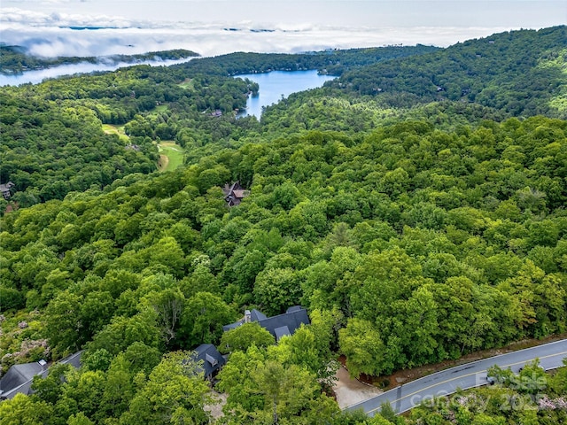 251 Toxaway Ct, Lake Toxaway, NC 28747 - drone / aerial view of a forest and a nearby body of water