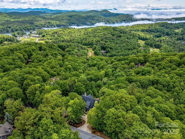 251 Toxaway Ct, Lake Toxaway, NC 28747 - drone / aerial view of a water and mountain view and a heavily wooded area