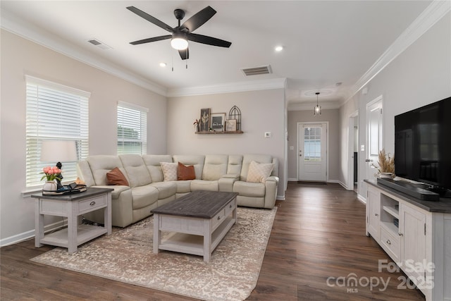 148 Kerri Dawn Ln, Locust, NC 28097 - living area featuring plenty of natural light, ornamental molding, a ceiling fan, baseboards, and dark wood finished floors