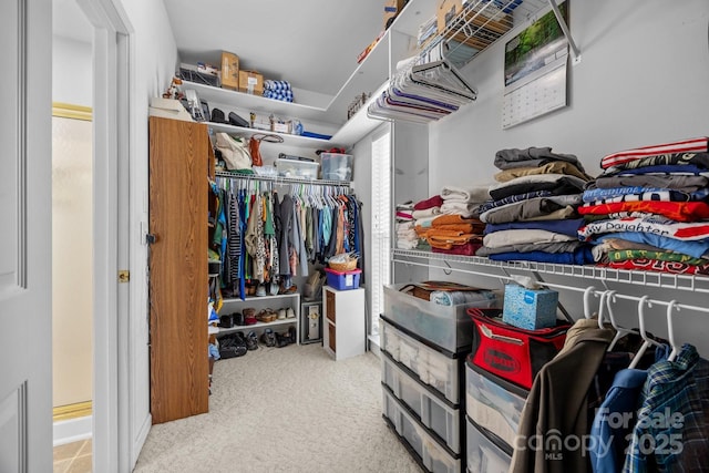 6533 Derby Ln NW, Concord, NC 28027 - walk in closet with carpet