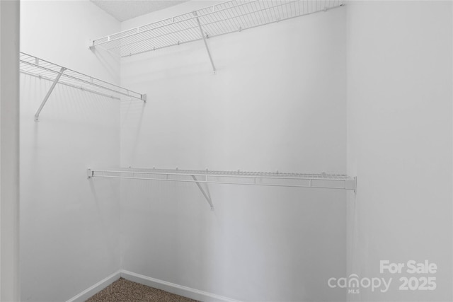 116 Dean Rd, Anderson, SC 29625 - spacious closet featuring carpet flooring