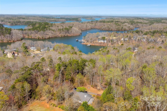 116 Dean Rd, Anderson, SC 29625 - bird's eye view of a forest and a nearby body of water
