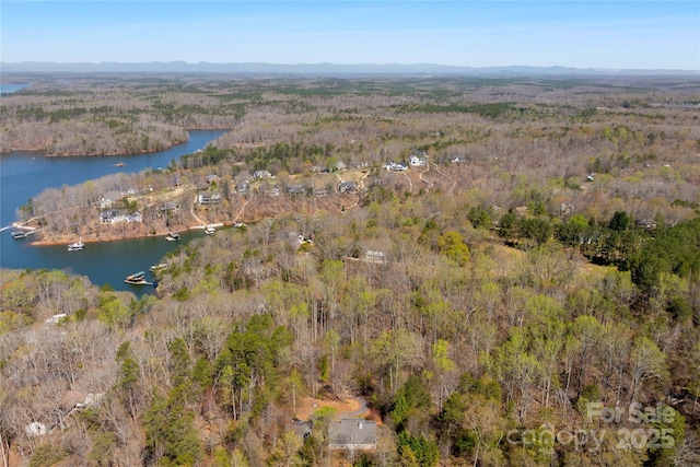 116 Dean Rd, Anderson, SC 29625 - aerial view of property's location featuring a forest and a water and mountain view