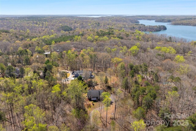 116 Dean Rd, Anderson, SC 29625 - aerial view of a forest and a large body of water