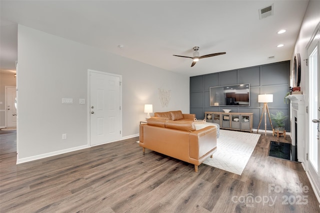 424 Castlebury Ct, Clover, SC 29710 - living area with wood finished floors, ceiling fan, baseboards, a fireplace, and recessed lighting