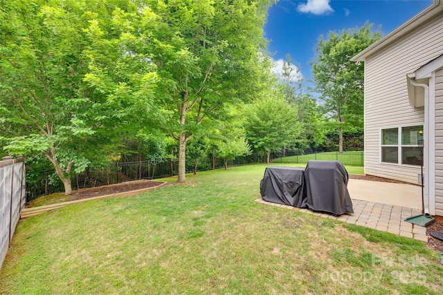 424 Castlebury Ct, Clover, SC 29710 - view of yard with a patio