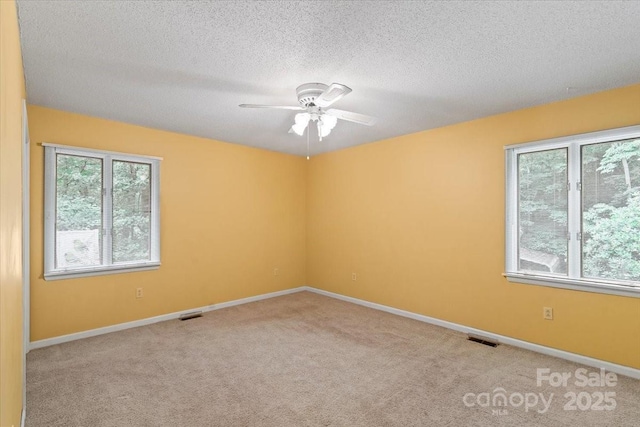 460 27th Avenue Cir NW, Hickory, NC 28601 - empty room with healthy amount of natural light, a ceiling fan, carpet, a textured ceiling, and baseboards