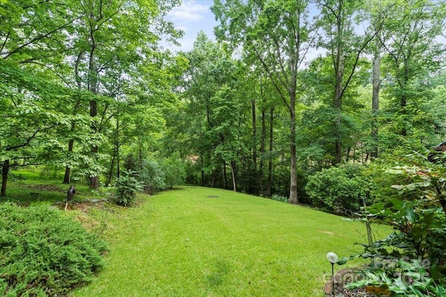 460 27th Avenue Cir NW, Hickory, NC 28601 - view of grassy yard with a wooded view