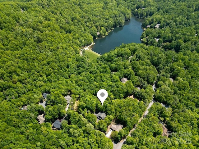 76 Isuhdavga Ct, Brevard, NC 28712 - bird's eye view of a nearby body of water and a forest