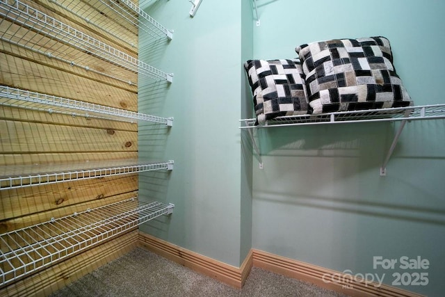 76 Isuhdavga Ct, Brevard, NC 28712 - spacious closet with carpet