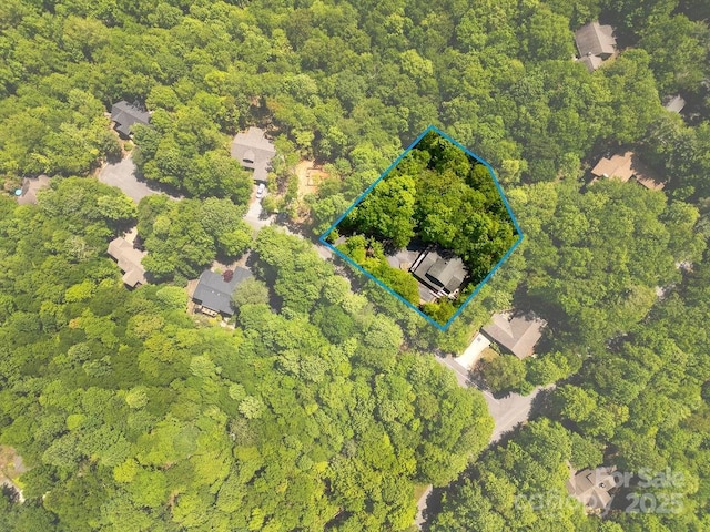 76 Isuhdavga Ct, Brevard, NC 28712 - view of property location featuring a forest and property parcel outlined