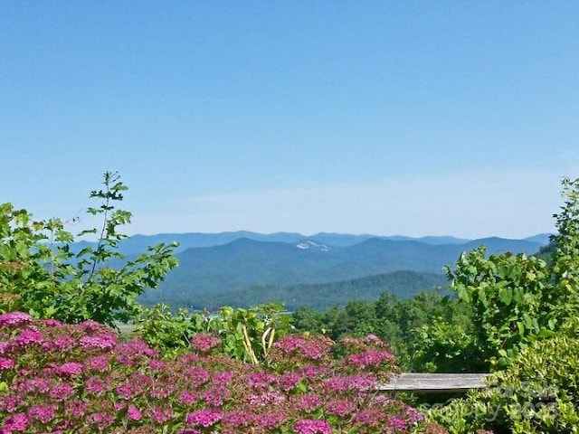 76 Isuhdavga Ct, Brevard, NC 28712 - mountain view