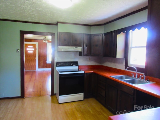 85 Oshea Ln, Waynesville, NC 28786 - kitchen featuring electric range oven, under cabinet range hood, light wood-style floors, a sink, and ornamental molding