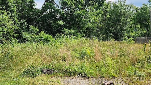 85 Oshea Ln, Waynesville, NC 28786 - view of local wilderness