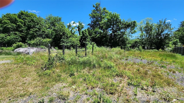 85 Oshea Ln, Waynesville, NC 28786 - view of undeveloped land