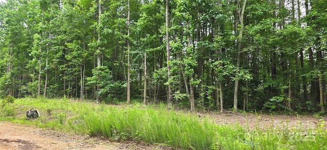 Lot72 Meandering Lane 72 & 73, Lincolnton, NC 28092