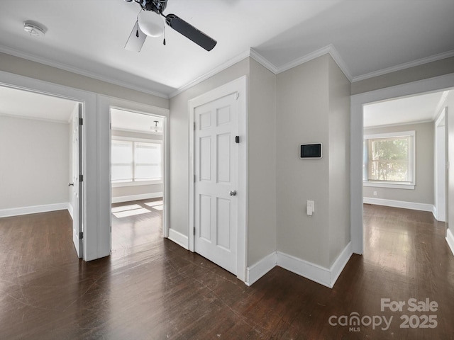322 Peachtree St, Albemarle, NC 28001 - corridor featuring dark wood-style flooring and ornamental molding