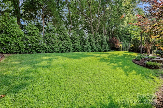 16909 Red Cow Rd, Charlotte, NC 28277 - view of green lawn