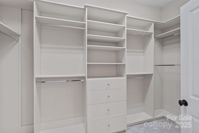16909 Red Cow Rd, Charlotte, NC 28277 - view of spacious closet