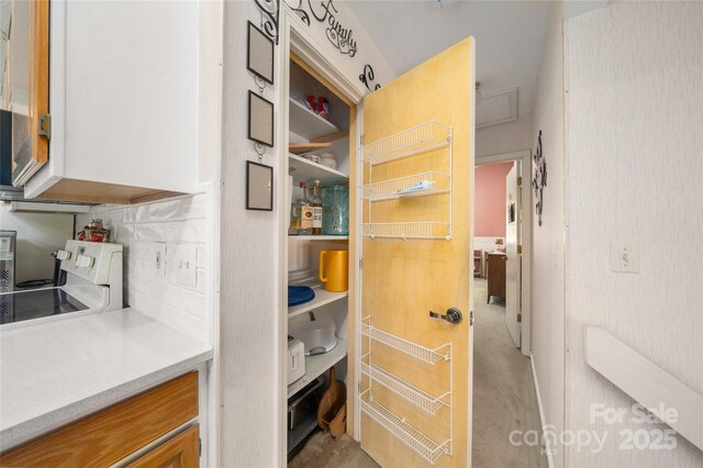 131 Apple Blossom Ln, Maggie Valley, NC 28751 - view of pantry