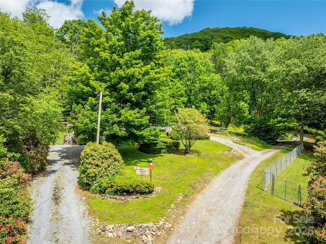 131 Apple Blossom Ln, Maggie Valley, NC 28751 - bird's eye view of a forest