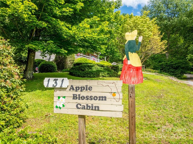 131 Apple Blossom Ln, Maggie Valley, NC 28751 - exterior view
